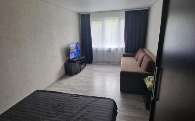 Cozy apartment on the Embankment of Tsiolkovsky street