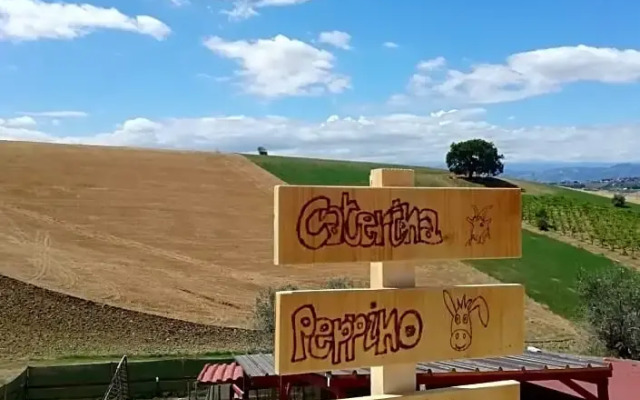 B&B Gli amici del tubarello