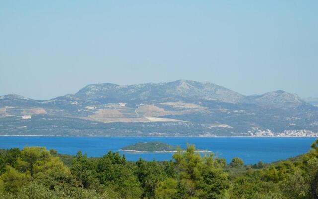 Apartments Leo Janjina