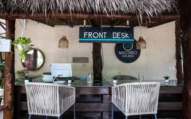 Macondo Holbox