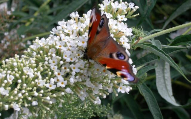 Woodlands Bed and Breakfast
