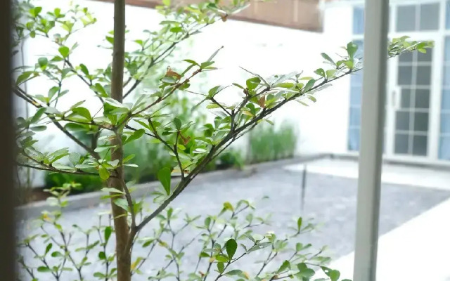 M Village Living 47 Thảo Điền