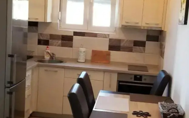 Apartment Vila Mirela