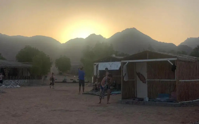 Buddha Camp