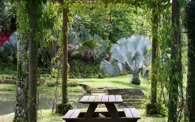 Macaw Lodge