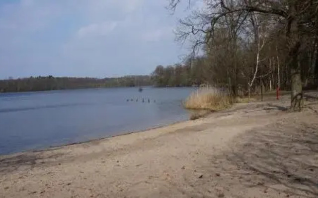 Märkische Traube