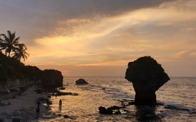 Little Ryukyu Hermit Crab Homestay