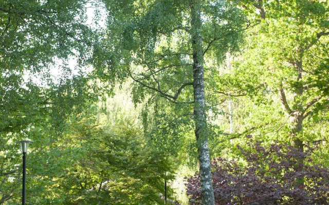 Ronneby Brunnspark Vandrarhem och B&B - Hostel