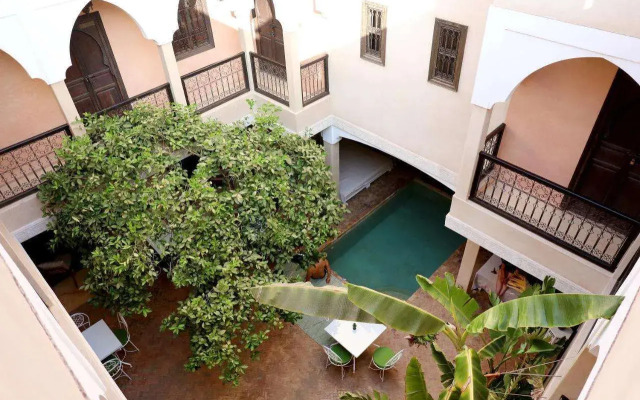 Riad l'Oiseau Du Paradis