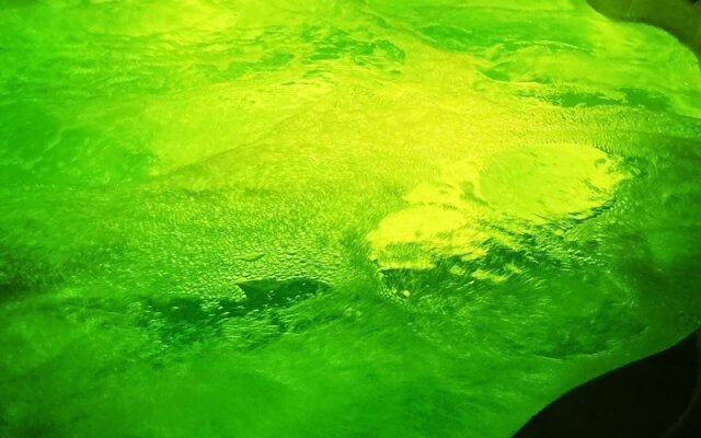 Hotel Restaurant lEcrin