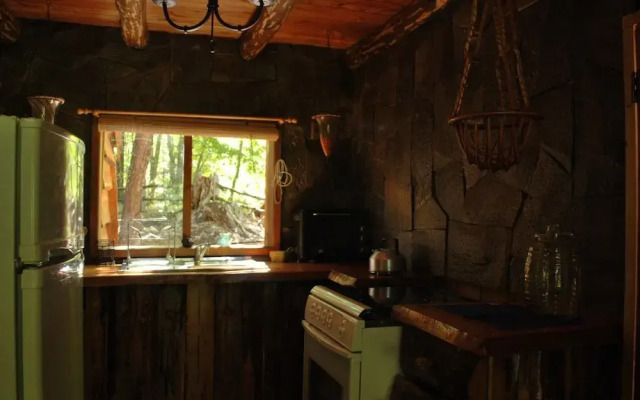 Casa Alto Palguin Pucón