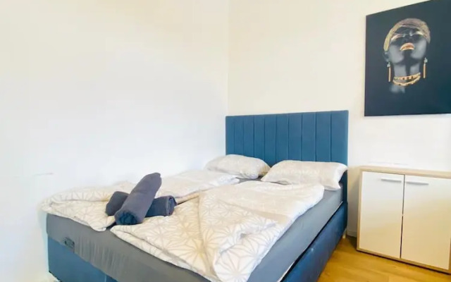 Spacious 4BR for 15 & 15 Min to Danube