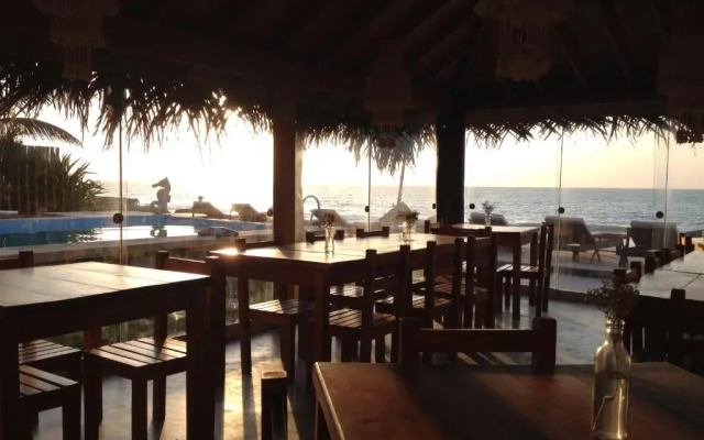 Los Cocos de Vichayito