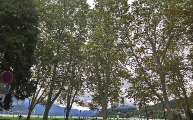 Residence Albigny Studio Vue Sur Lac