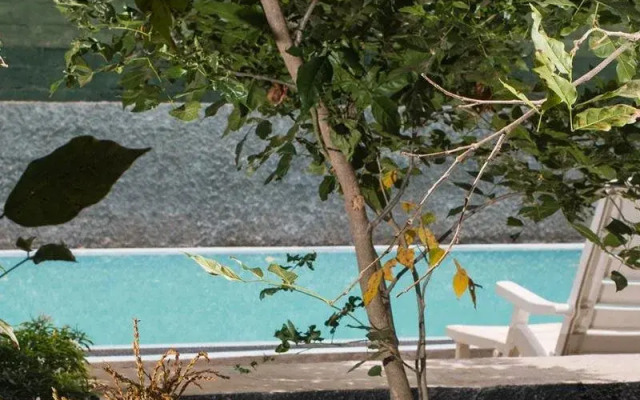 Sigiriya Peacock Homestay