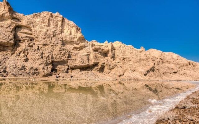 Oasis Negev