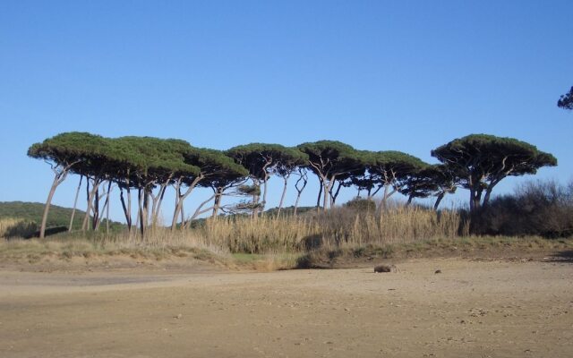 Splendid Relaxing Stay in the Tuscan Countryside