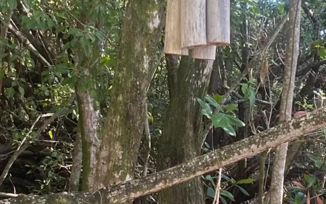 Eden Paradise Spa Ecolodge