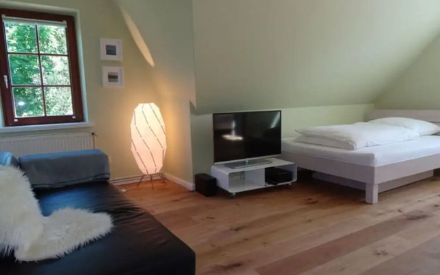 Holiday Home Gray Seal