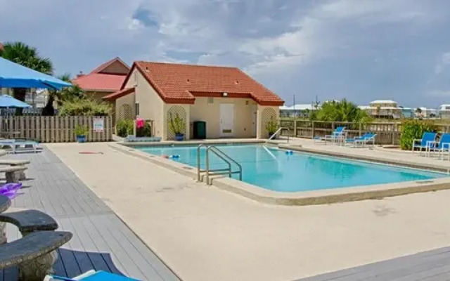 Sunset Harbor Palms 1-0311