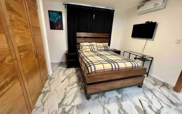 Elegant, Modern Style Villa in Playa Nueva Romana2