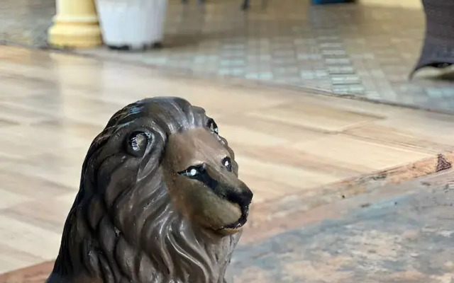 Hospedaje Rey Leon