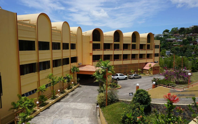 Ambassador