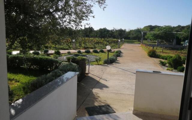 Apartments Zaton Draga