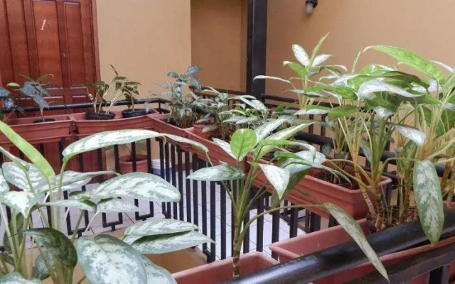 Hotel Aeromundo