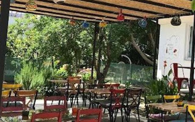 Mi̇ Amor Seli̇mi̇ye