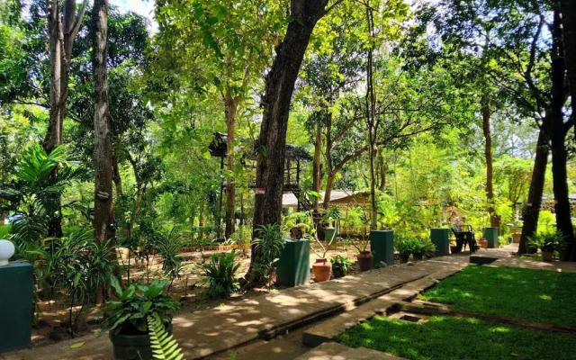 Udawalawe Safari VIllage By Plateeno