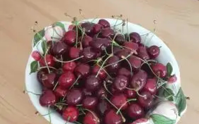 Élő Tisza Vendégház
