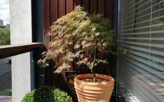 luxury Travel London Stratford Apartment Holiday Home