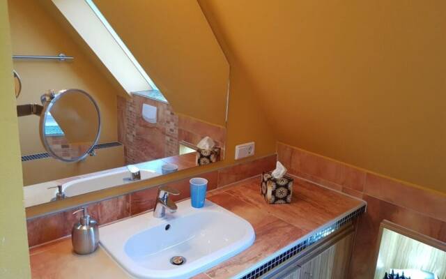 Swallow's Nest in the House by the Pond