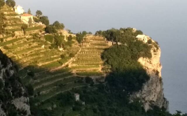 The Residence Grandfather Emilio