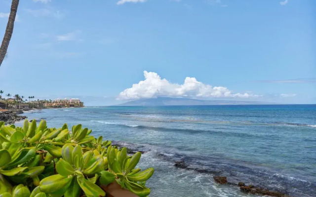 Hale Ono Loa 104