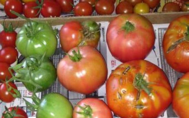 The Rustic House of the Fjord