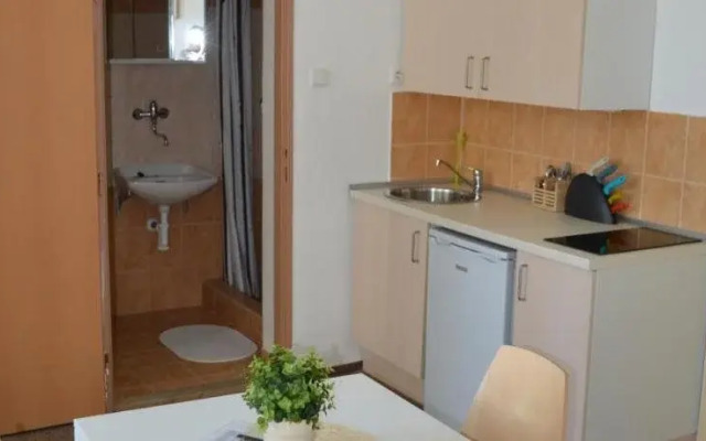 Hostel U Sv Stepána