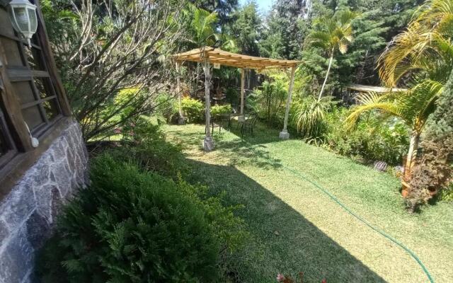 Hotel y Bungalows ecologicos Marcelo