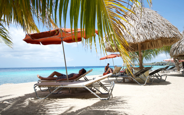 Coral Estate Luxury Resort