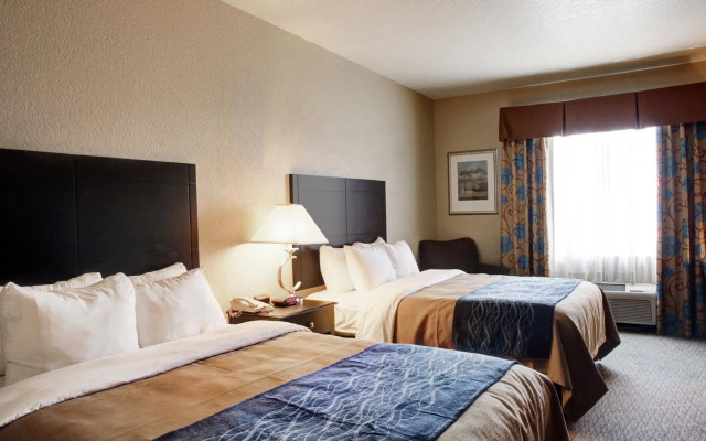 Spark by Hilton Selma