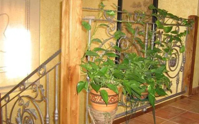 Centro de Turismo Rural El Museo