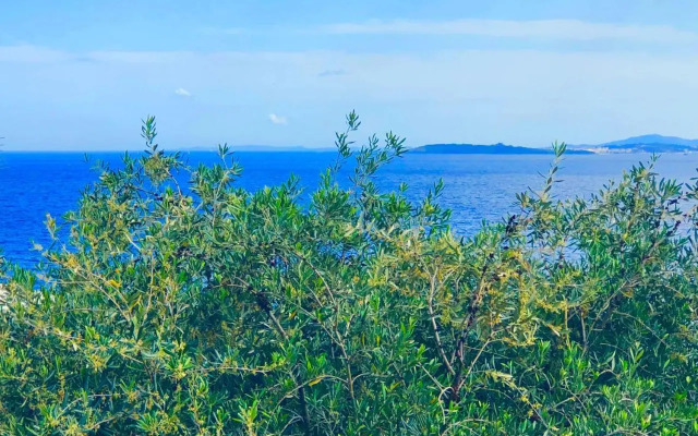 Nissaki Suite Kalypso