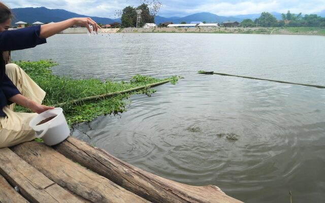 Doi Inthanon Riverside Resort