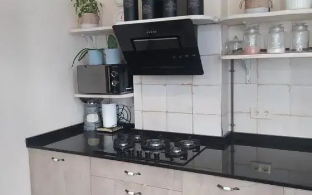 Piso Iwvaxi, gallery house. Ourense.