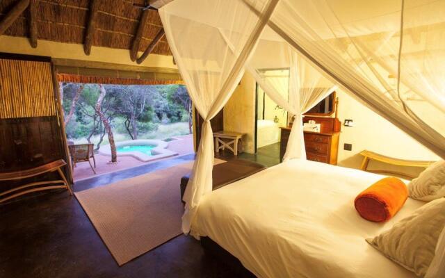 The Safari Lodge