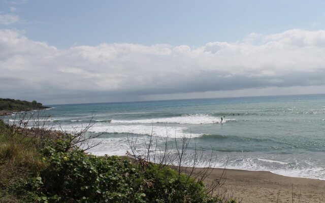 Afei Surf Inn Hall 4 - NANU