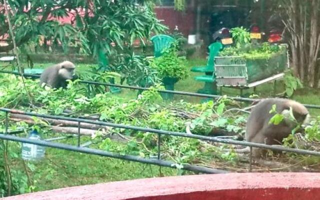 Coca Cola Hostel Malabe