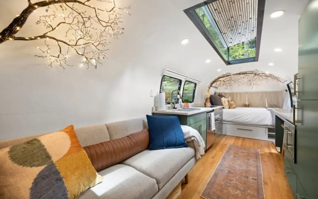 Royal Fern in Pisgah Forest