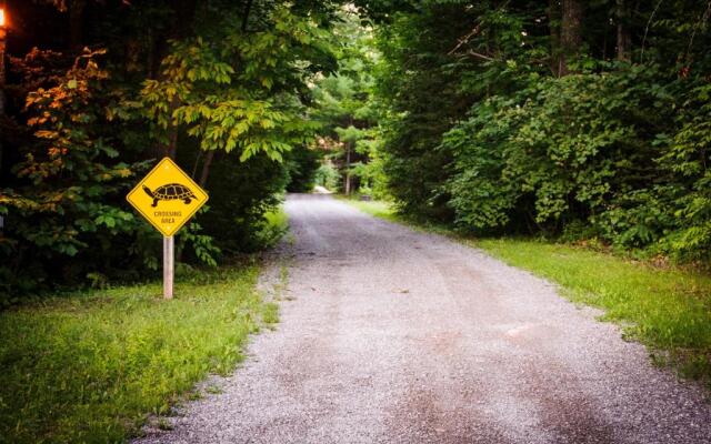 Shambhala Bed and Breakfast